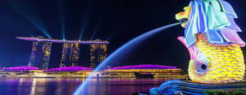 Singapore Tour